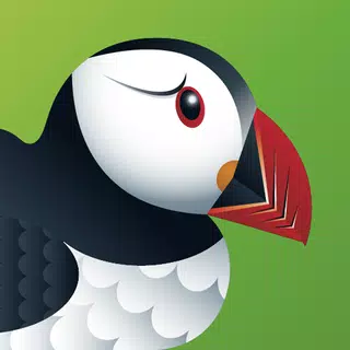 Puffin APK İndir
