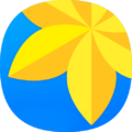 Img 2526 Ico.png