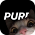Img 2944 Ico.png