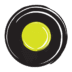 Img 8271 Ico.png